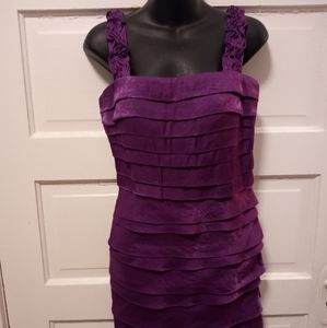 Beautiful Signature by Sangria Violet Dress Size 4